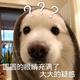 mj_xz
                        头像