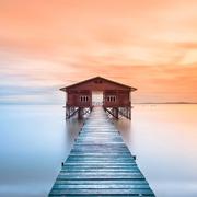 1m6的个人资料头像