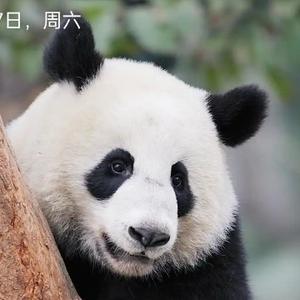 蓝月亮1009头像