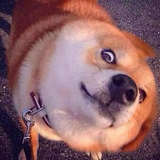 小丑鱼79261748087头像