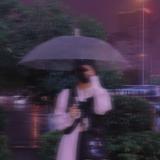 小谭的粉丝头像
