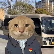 不和热水的基米的个人资料头像