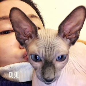 Gagachan0125头像