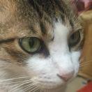 信息孤岛的个人资料头像