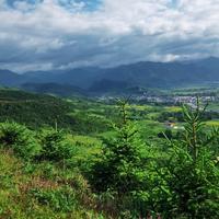 率真小鱼sv7头像