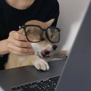 清梦Liii的个人资料头像
