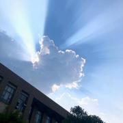 LIANMINE的个人资料头像