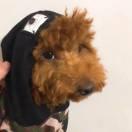 Lori的个人资料头像