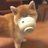 乐在途中A头像
