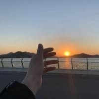 枕浪听风待温柔头像