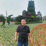 谭宝双头像