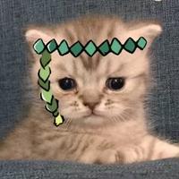 米酥玛奇朵头像