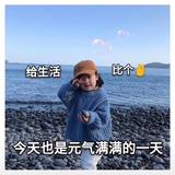 琦美头像