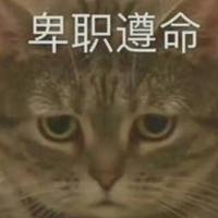 pho王柴犬头像