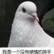 旭暗的个人资料头像