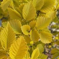 旅程s有你啊头像