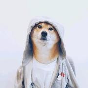 跑不累的30号的个人资料头像