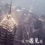 城南花已开2569头像