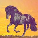 dreamSeeker的个人资料头像