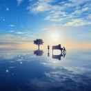 想吃糯米饭的个人资料头像