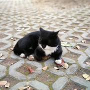 刘流的个人资料头像