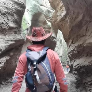 跟着大刘去旅行头像