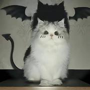 数据分享者的个人资料头像