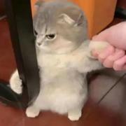 TomHuang的个人资料头像