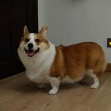 1头像