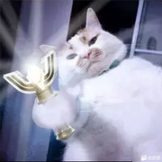 职业养生选手的个人资料头像