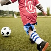 阿拉莫的个人资料头像