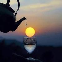 顽强饼干n0l头像