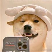 奇怪的小明的个人资料头像