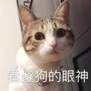 傻子来了快跑丶的个人资料头像
