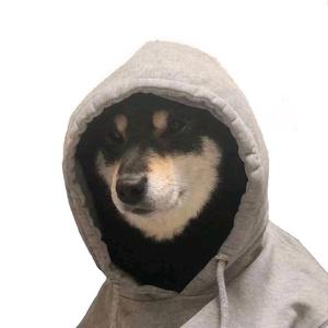 又耳邓头像