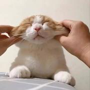 王鑫702的个人资料头像