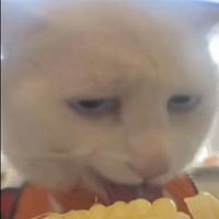 我还想睡可是睡不着头像