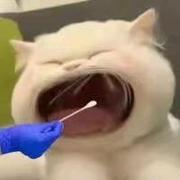 你个大秃驴的个人资料头像