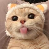 刘子廒jpg头像