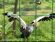 菜鸟大神23的个人资料头像