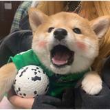 UkiUki头像