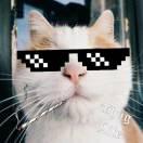 Sagit72319的个人资料头像