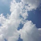 大森林头像