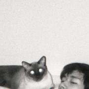 Dent432的个人资料头像