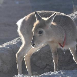 往事过客7519头像