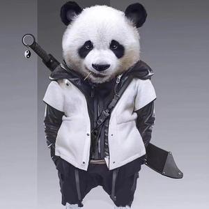 巴斯Arale头像