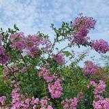 用户8272045648160头像