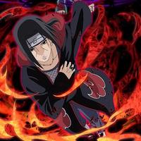 用户5569596296177头像