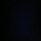 自在同志的个人资料头像