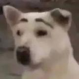向阳空调头像